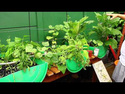 how to make your own vegetable patch
