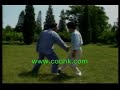 Chen Style Tai Chi Push Hand  24 Form Taijiquan KF722coohk