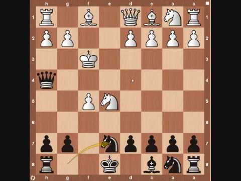 chess chess