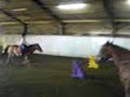 Abby and tags jumping