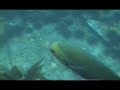 Natural Wonders - San Miguel Island Natural Wonders - San Miguel Island
