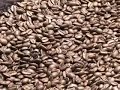 Bag To Bag - How Coffee Is Roasted