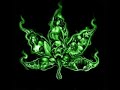 Gandzia, Gandzia, Marihuana