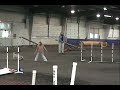 Agility Cluster 11.08 Gooner