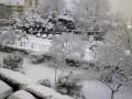 videos de beausoleil 7 janvier 2009  2
