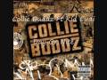 Collie Buddz Ft Kid Cudi- Day Or Nite Remix