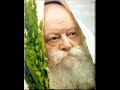 rebbe rebbe