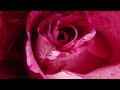 Paschalis Terzis - Pasxalis Terzis- Exo mia agapi (Πασχάλης Τερζής - Έχω μια αγάπη)