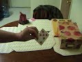 beginner magic tricks