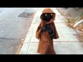 Lil jawa
