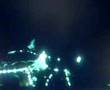 The deep sea angler