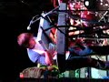 Bonnie Taylor Shakedown - hellogoodbye Bonnie Taylor Shakedown - hellogoodbye
