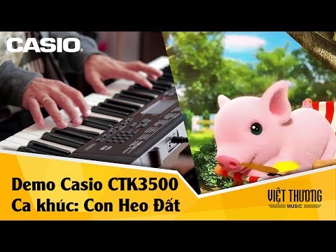 Con heo đất - Đàn organ Casio CTK3500