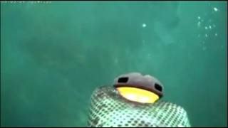 Pesca a poco fondo con Mito