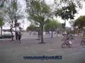Bicing... a Barcellona