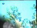 Angelo Branduardi - Si può fare