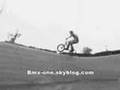 scotty cranmer