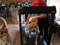 Logan on his Treadmill