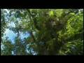 SKYE BORTOLI - ECO WARRIOR 1