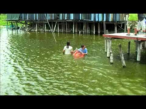 Capture Of Massive 360-Pound Arapaima