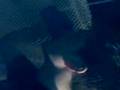 videos de Bacardi Black Round 2