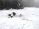 Snowboard Crash in Jungholz