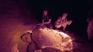 Jekyll Island Production Diary!