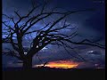 Vermutis Vermutis