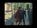 Lost chicken Lost chicken
