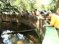ZOOLOGICO.flv ZOOLOGICO.flv