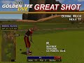Golden Tee Great Shot on Bonnie Moor!