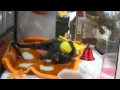 SANY0432.MP4