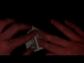 Dollar Origami Turtle