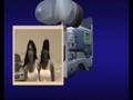 videos de שלמה בים המלח