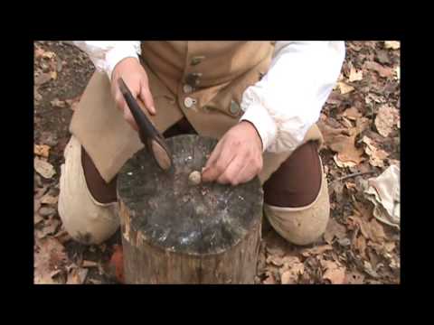 how to harvest hickory nuts
