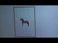 Singer Futura Computerized Embroidery Machine - CRAFT Video