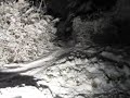Garden Snowboarding