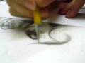 ALEXANDRE DALLIER - Making-off s�rie de desenhos