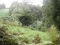 Açores 4 - verde portugal