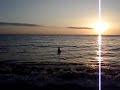 Mai 2007 - gwelwyd siarc anferth yn nofio moroedd Ceredigion. Yn lwcus i chi, daliwyd cip ohono ar fideo... :DMay 2007 - huge shark spotted off the coast of Ceredigion. Luckily for you, a short clip of it was caught on video... :D