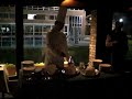 Flambeado omelete surprise