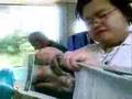How to make a hand fan oder wie ich ein Handfächer mache