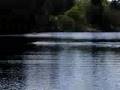 videos de Fast RC boat: bittburger catamaran