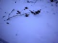 Helmet Cams Are Awsome