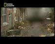 NATIONAL GEOGRAPHIC CHANNEL 10 Tage bis Kriegsende