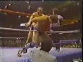 Bruno Sammartino vs Roddy Piper