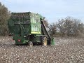 Picking Cotton Picking Cotton