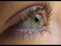 \"Fingerprints of God\" Steven Curtis Chapman