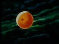 Dragon Ball - Goku Vs Pikoro Daimaoh Parte 7