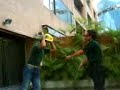 BVC OBRA1 BVC OBRA1